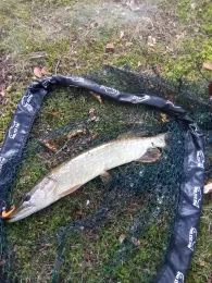 Schloßteich Griebenow-3