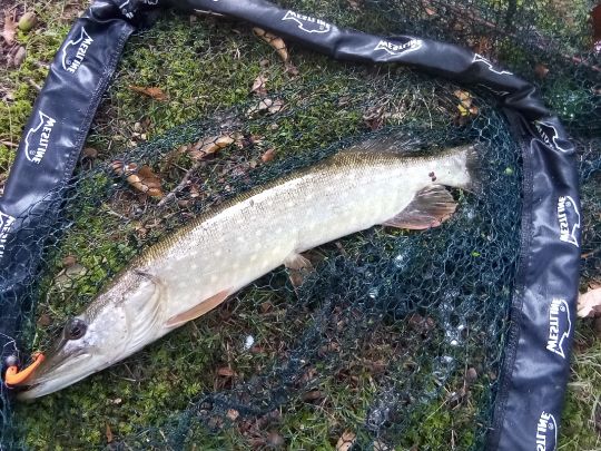 Schloßteich Griebenow-2