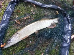 Schloßteich Griebenow-2