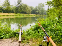 Neckar (Neckartailfingen)