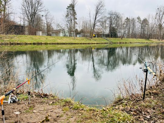 Neckar (Neckartailfingen)-3