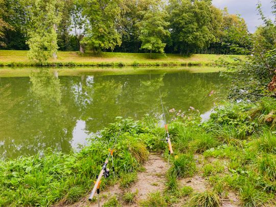 Neckar (Neckartailfingen)-2
