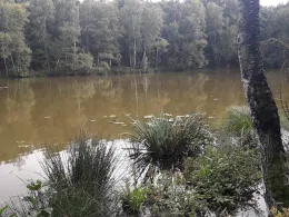 Teglinger See-4
