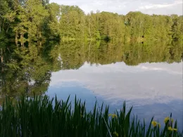 Alte Grube Narsdorf-4