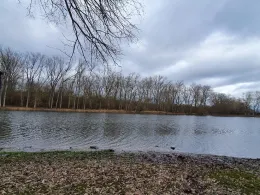 Lampertheimer Altrhein