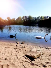 Lampertheimer Altrhein-4