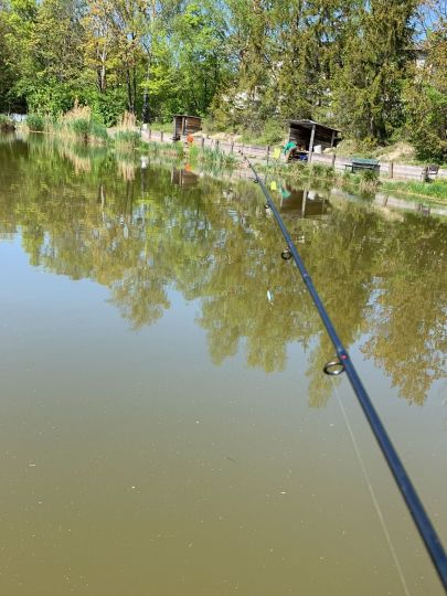 Forellenteich Timmenrode-3