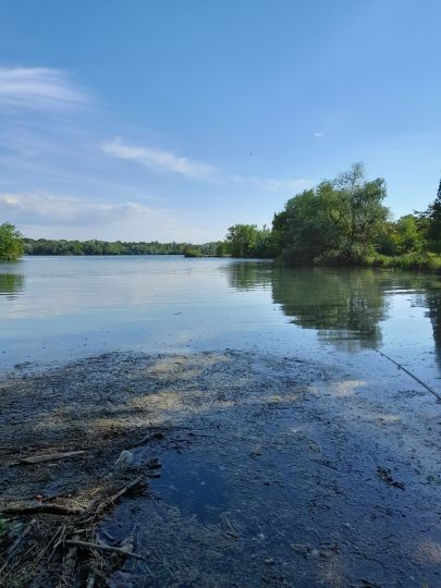 Plan D'eau de Plobsheim-3