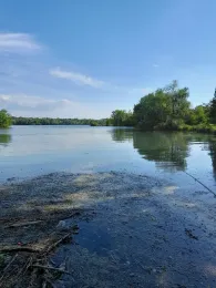 Plan D'eau de Plobsheim-3