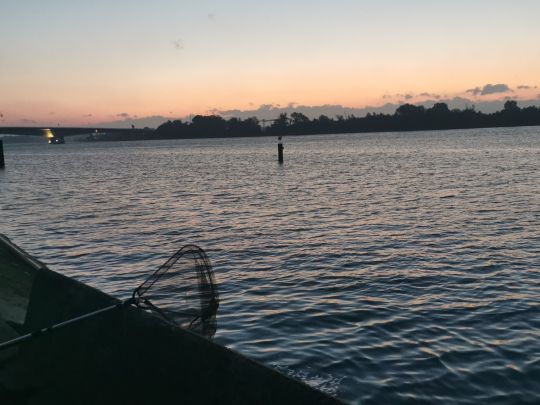 Plan D'eau de Plobsheim-4