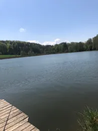 Waldweiher (Dietramszell)-4