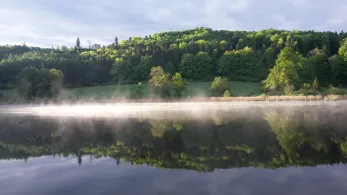 Waldweiher (Dietramszell)-3