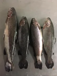 Angelteich Forsthaus-1