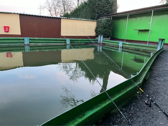 Angelteich Forsthaus-2