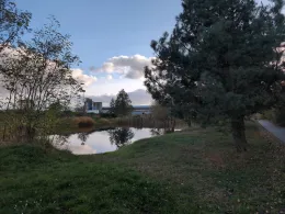 Fischteich Elster (Elbe)-2