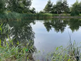 Fischteich Elster (Elbe)-1