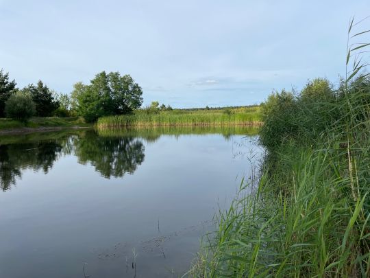 Fischteich Elster (Elbe)