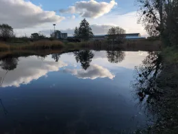 Fischteich Elster (Elbe)-3