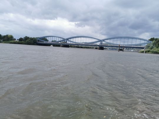 Entenwerder Halbinsel (Hamburg)-4