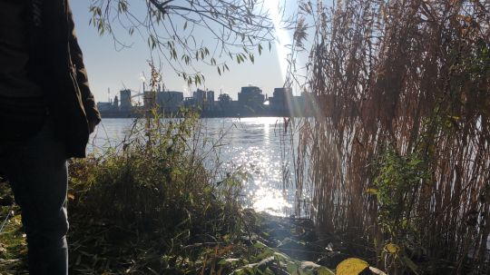 Entenwerder Halbinsel (Hamburg)-3