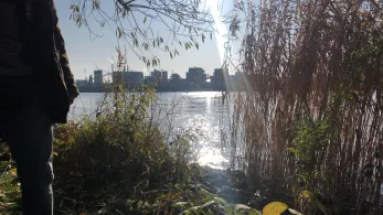 Entenwerder Halbinsel (Hamburg)-3