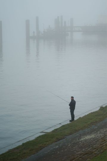 Entenwerder Halbinsel (Hamburg)-2
