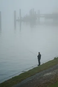 Entenwerder Halbinsel (Hamburg)-2