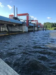Entenwerder Halbinsel (Hamburg)-4