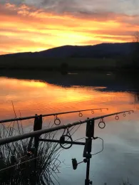 Etang des Gaulois -0