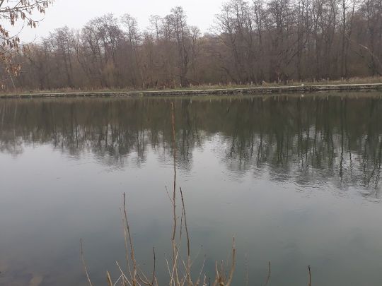 Ruhr (Mülheim an der Ruhr)-1