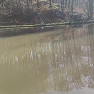 Hambachweiher (Freisen)-2