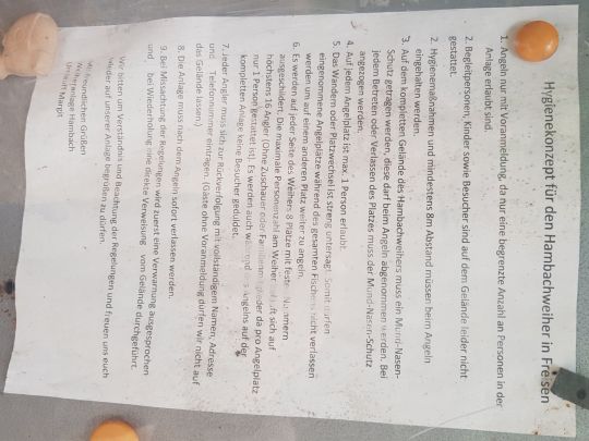 Hambachweiher (Freisen)-4