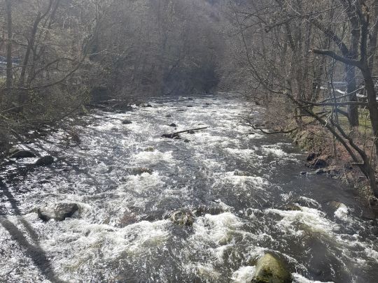 Bode (Thale)