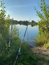 Schloßteich Mühlberg/Elbe-2