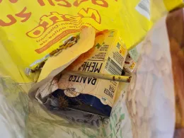 Schloßteich Mühlberg/Elbe