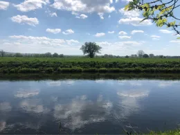 Leine (Nordstemmen)-1