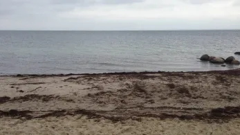 Ostsee (Sierksdorf)-4