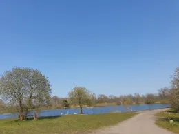 Forellensee FangMehr (Kleinvollstedt)