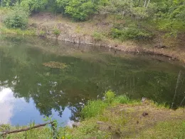 Steinbruch (Burgkemnitz)-1