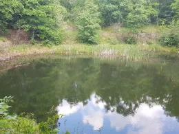 Steinbruch (Burgkemnitz)