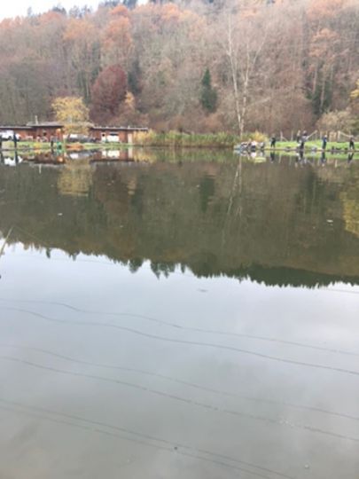 Forellenteichanlage Finkenbachtal-1