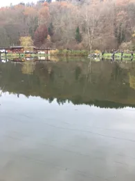 Forellenteichanlage Finkenbachtal-1