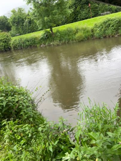 Wied (Roßbach)