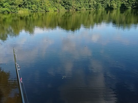 Teichanlage Lahntal-Goßfelden-2