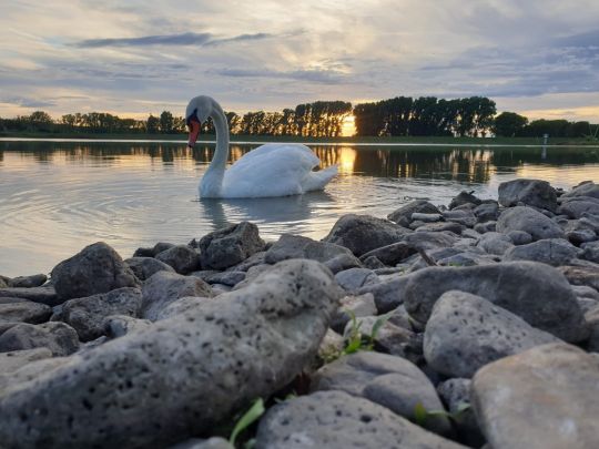 Talsperre Frohndorf (Orlishausen)-4