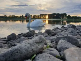 Talsperre Frohndorf (Orlishausen)-4