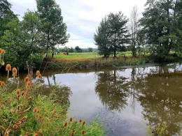 Aisch (Neustadt/Aisch)-3