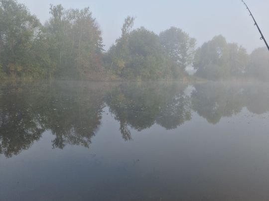 Angelteich Hausen (Oberaula)-4