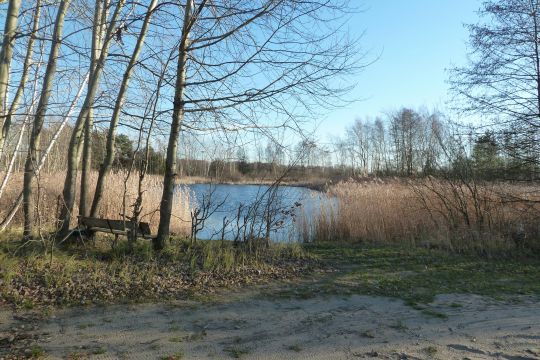 Badeteich Suschow-4