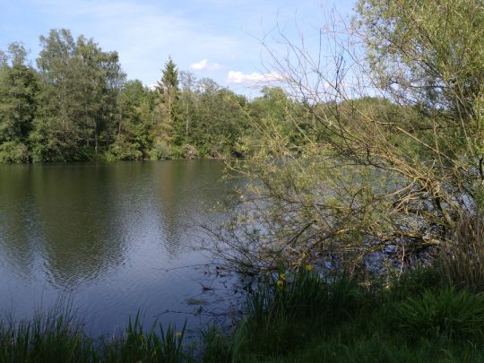 Oderpark-See (Hattorf)-1